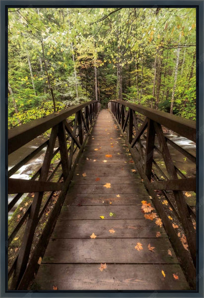 Autumn’s Bridge