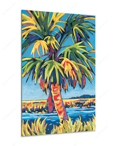 Pine Island Palm