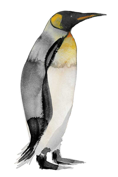 Penguin IV